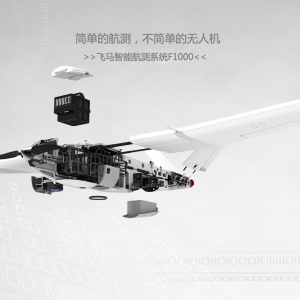 江西無人機-飛馬智能航測系統F1000